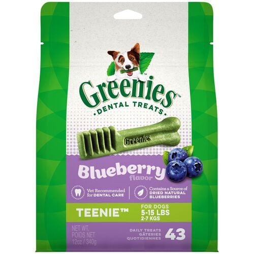 Blueberry Flavored Teenie Dental Dog Treats - 43 Count