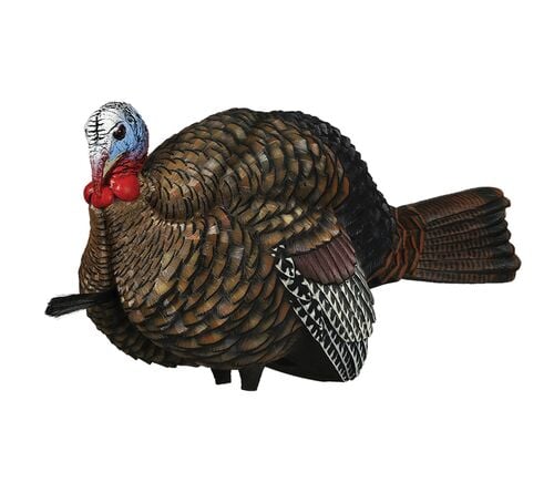 LCD 1/2 Strut Jake Turkey Decoy