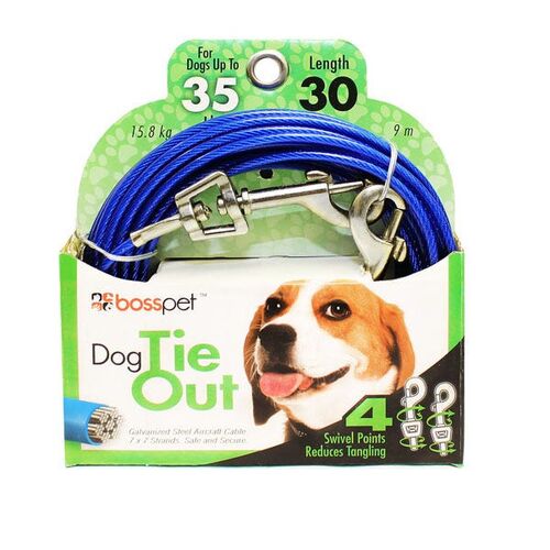 30' Blue Cable Medium Pet Tie Out