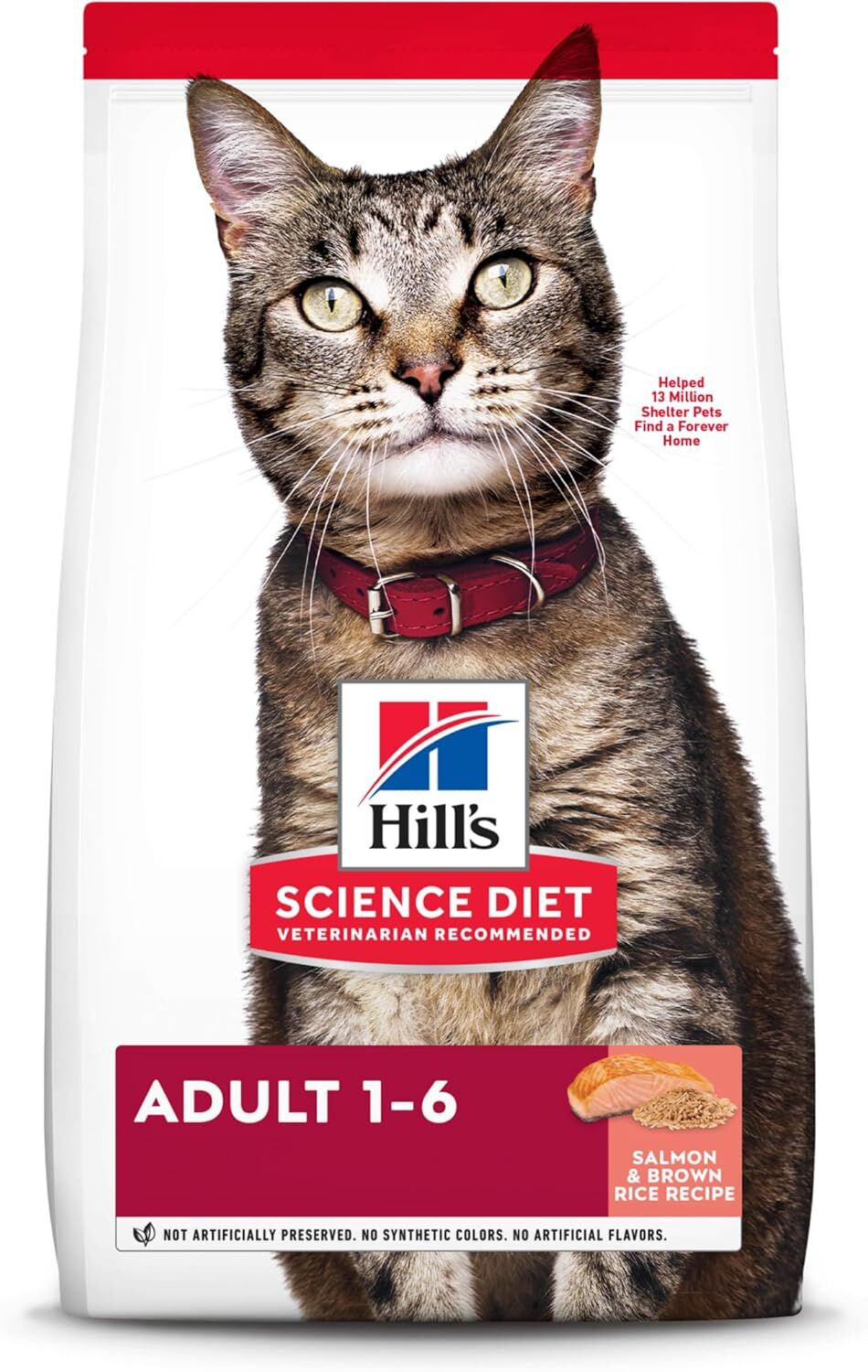 Adult Salmon & Brown Rice Recipe Dry Cat Food
