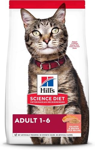 Adult Salmon & Brown Rice Recipe Dry Cat Food