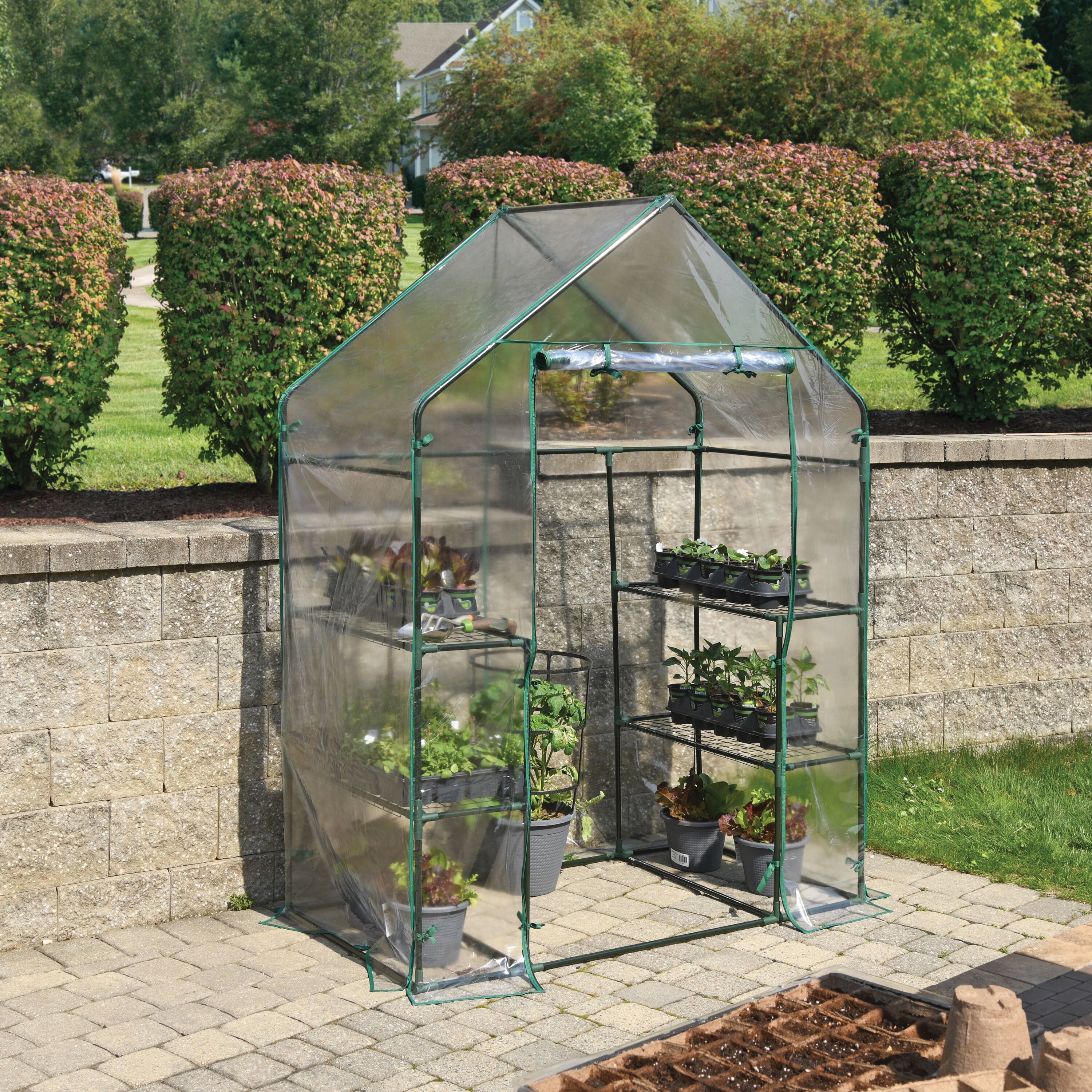 Mini Greenhouse with Shelves - 56