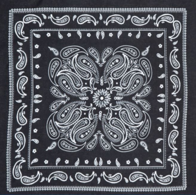 thumbnail interactive-video image 1 of Rothco Thin Blue Line Bandana – 22x22 Inch, Men's, Regular Size, MPN 44074 1 of 4