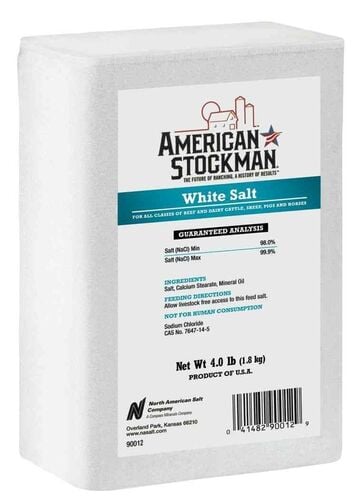 White Salt Brick - 4 Lb