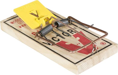 Easy Set Rat Trap