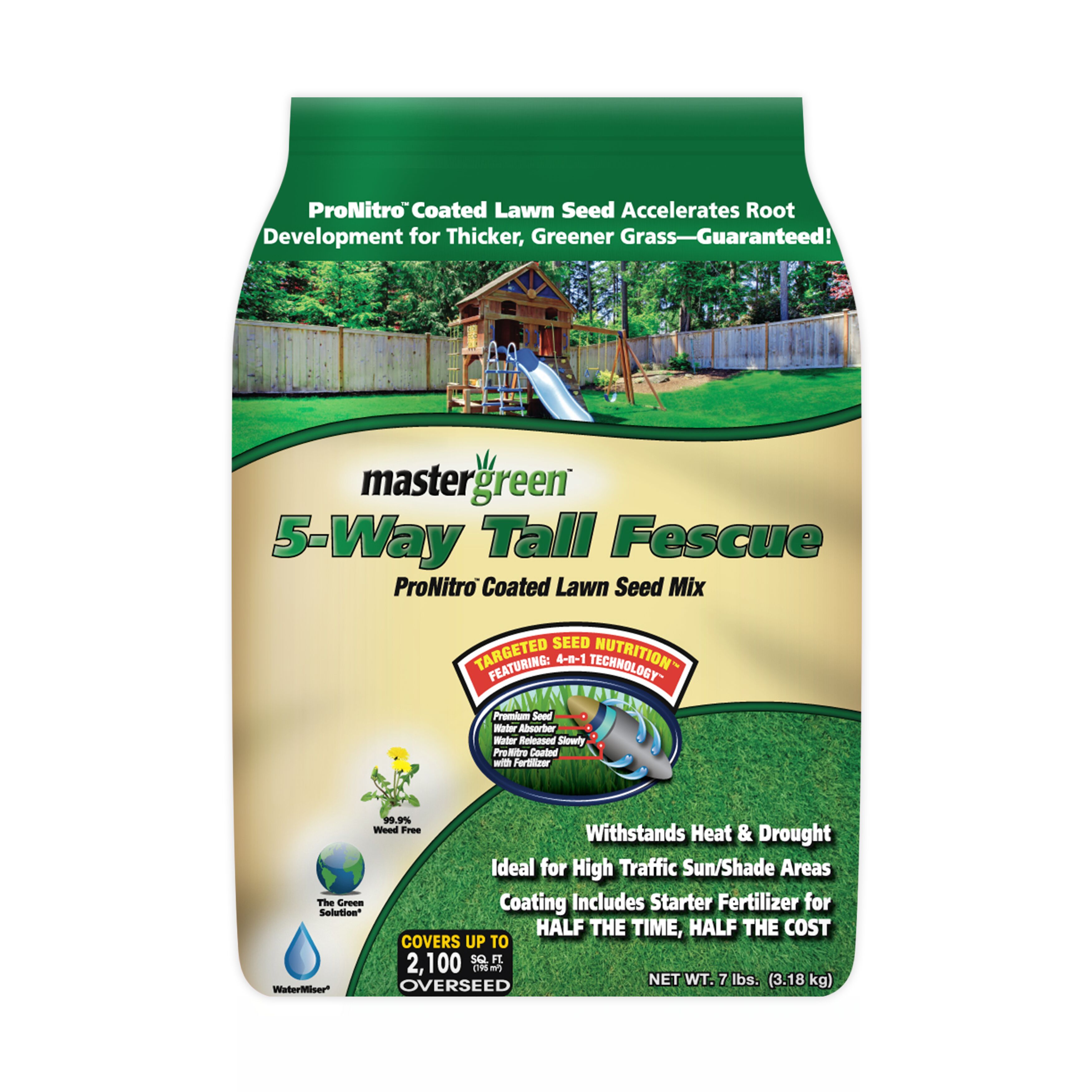 mastergreen 5-Way Tall Fescue Grass Seed