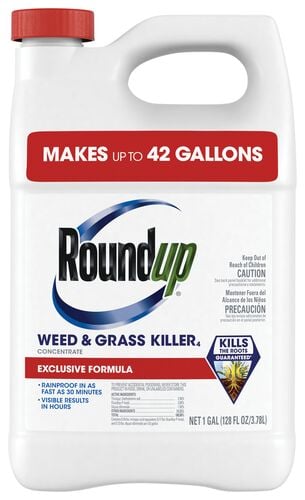 Weed & Grass Killer Concentrate - 1 Gallon