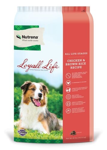 Loyall All Life Stages Chicken & Brown Rice - 40 Lb