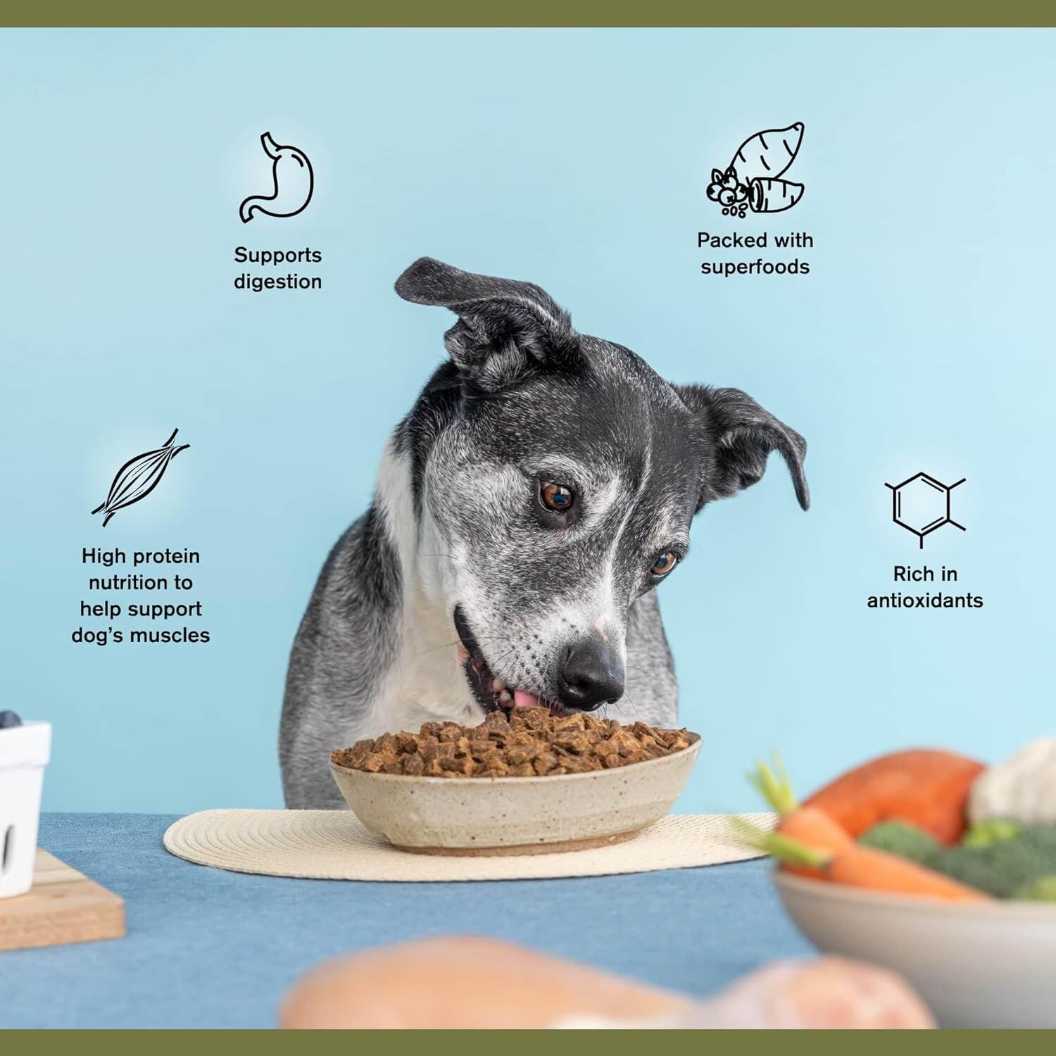 THIS IS PREMIUM FOOD 1kg ドッグフード Badlands Ranch Superfood Complete Grain-Free Air-Dried Dog Food in