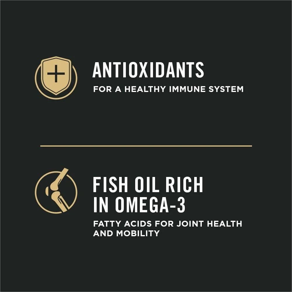 Sensitive Skin & Stomach Salmon & Rice Adult Dry Dog Food