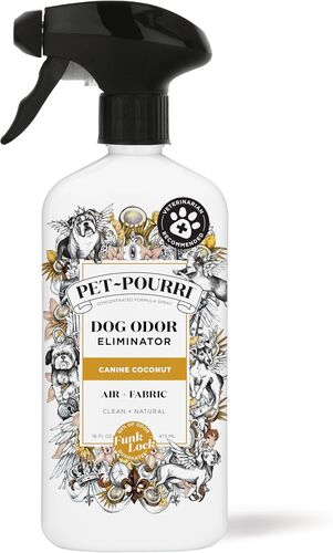 Dog Odor Eliminator Air + Fabric Spray in Canine Coconut - 16 oz