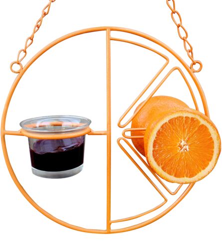 Fruit & Jelly Oriole Bird Feeder