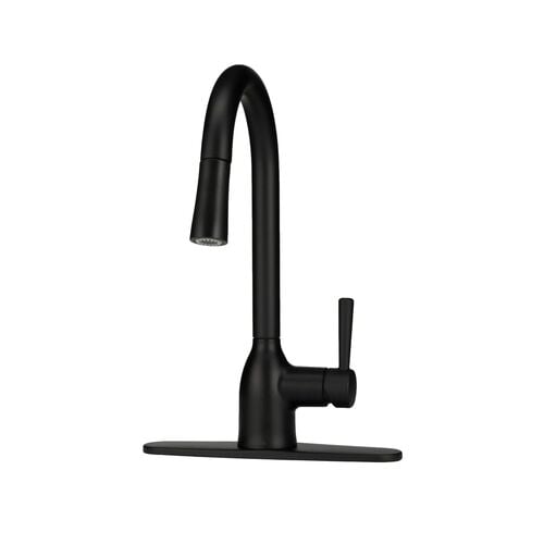 Adler Single-Handle Pull-Down Sprayer Kitchen Faucet in Matte Black