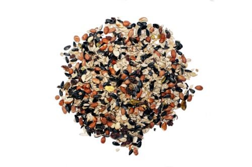 Advanced Formula Nut N' Berry Bird Seed (Sold by the Lb)
