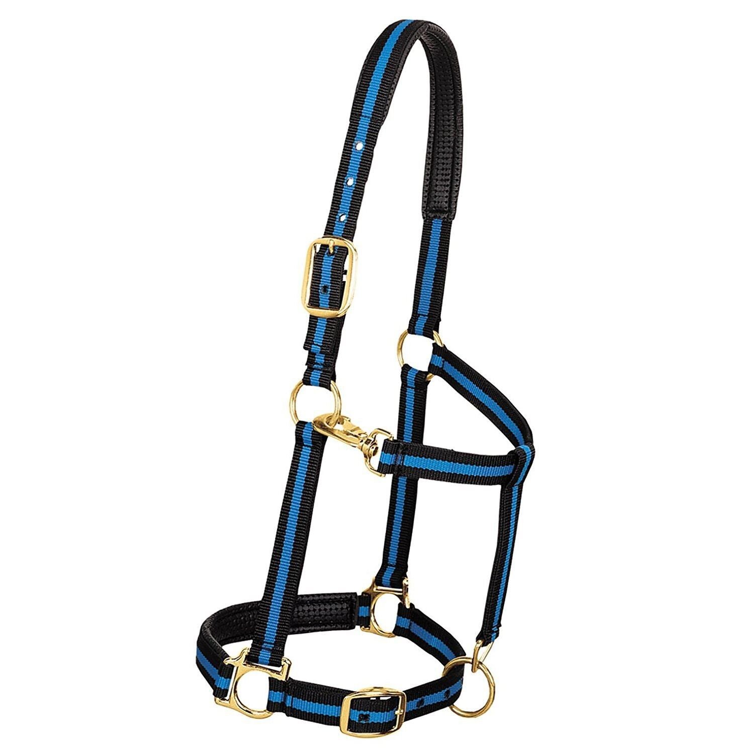 1 Inch Padded Adjustable Throat Snap Halter For Medium Horses