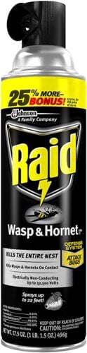 Wasp & Hornet Killer Spray