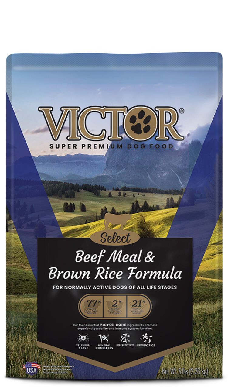 Select Beef Meal & Brown Rice Dry Dog Food