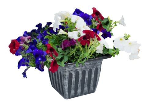 Memorial Planter