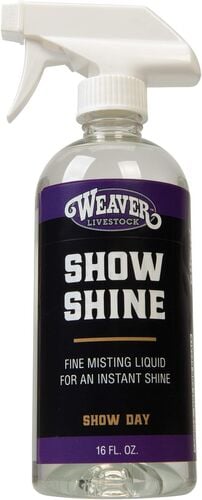Show Shine - 16 oz
