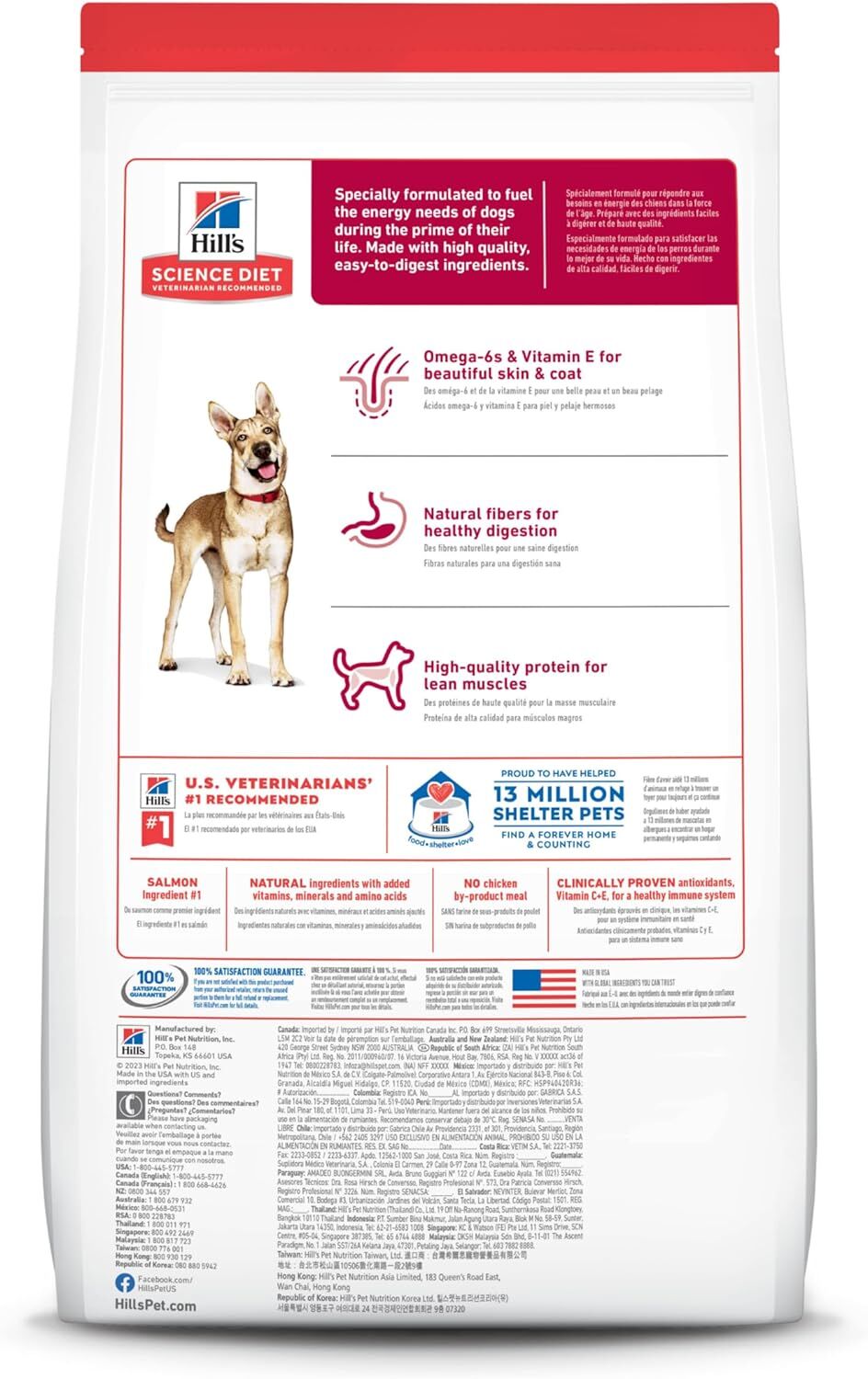 Adult Salmon & Brown Rice Recipe Dry Dog Food