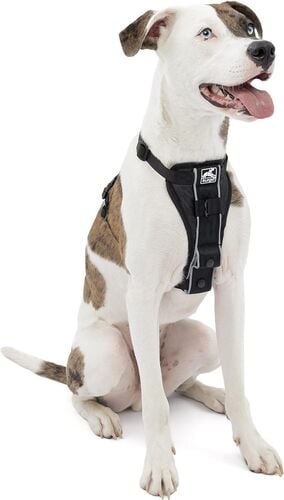 Tru-Fit No Pull Dog Harness - 25-50 Lb