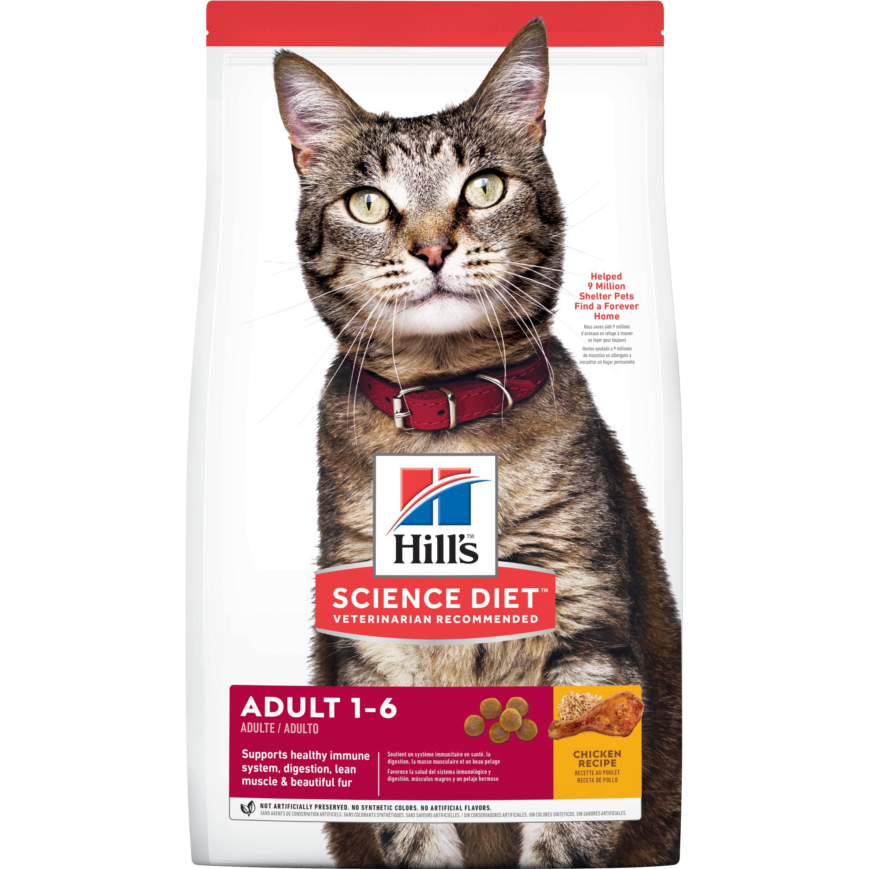 Adult Chicken Recipe Cat Food