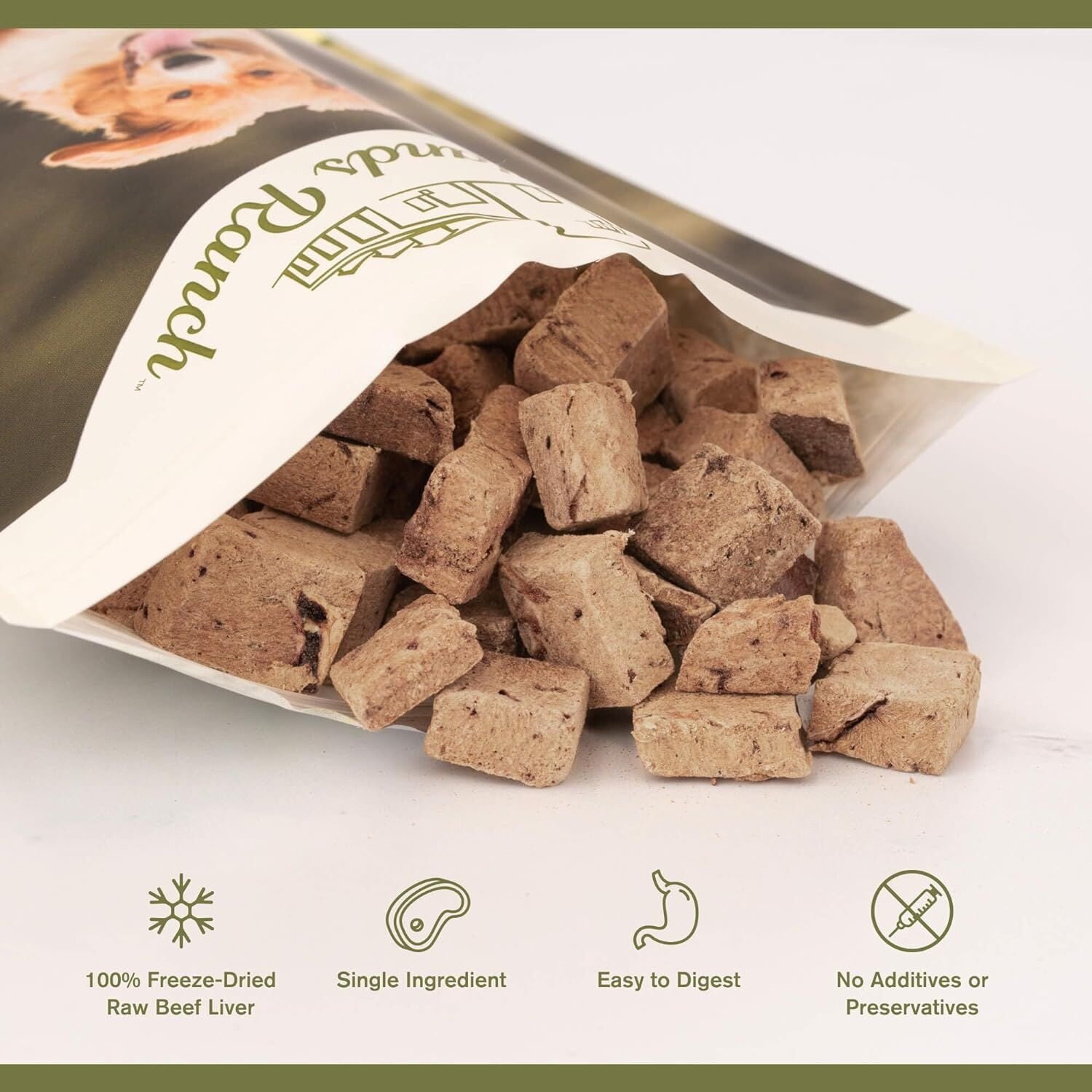 Badlands Ranch Superfood Bites Air Dried Premium Treats for Dogs