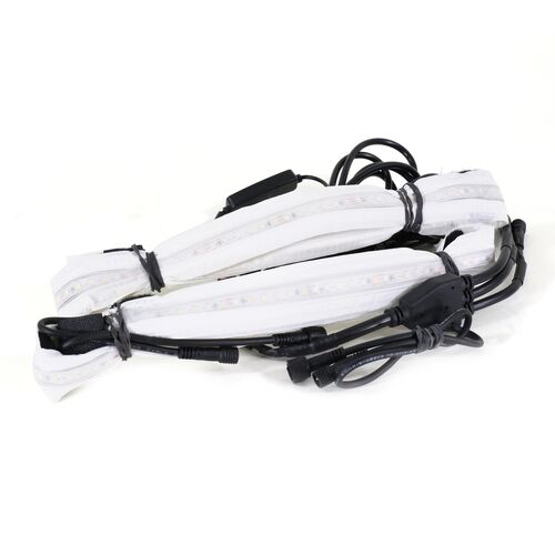 Aurora Light Starter Kit