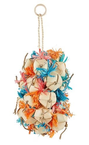 Happy Beaks Crunchy Grapes Medium Bird Toy