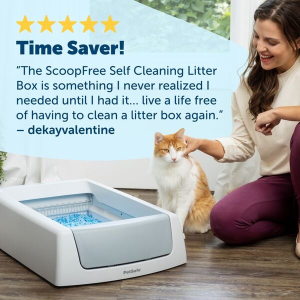ScoopFree Complete Self-Cleaning Litter Box