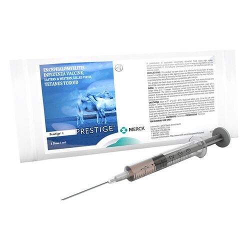 Encevac Tc-4 with Havlogen Equine Vaccine - 1 mL