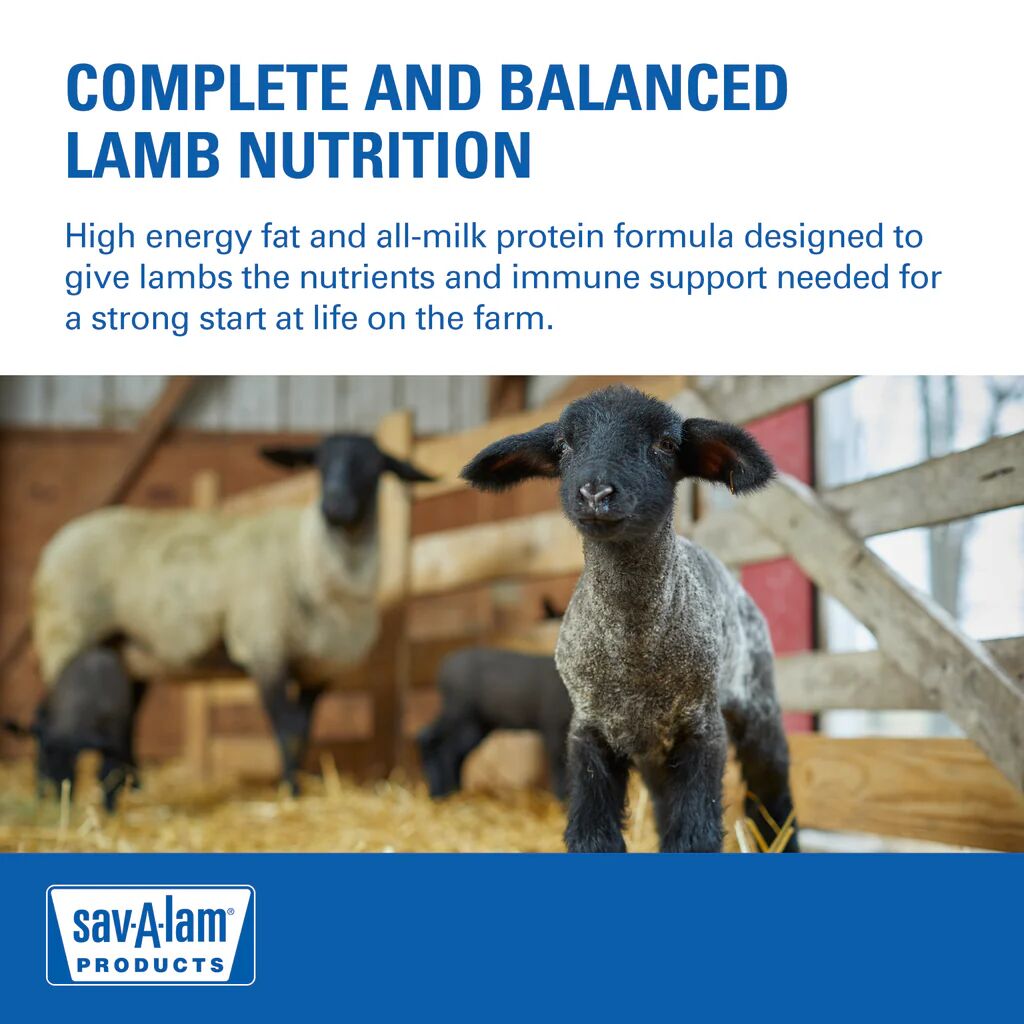Sav-A-Lam Lamb Milk Replacer - 4 Lb