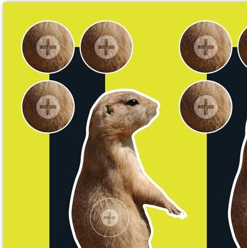 EZ Aim Splash Reactive Paper Shooting Targets - Prairie Dog