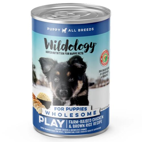 Play Farm-Raised Chicken & Brown Rice Recipe Canned Dog Food - 12.8 oz