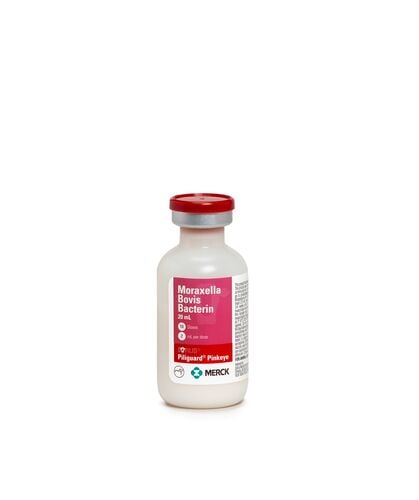 Bovilis Piliguard Pinkeye - 10 Doses