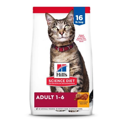 Adult Chicken Recipe Cat Food