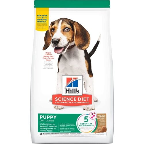 Lamb and Rice Puppy Food
