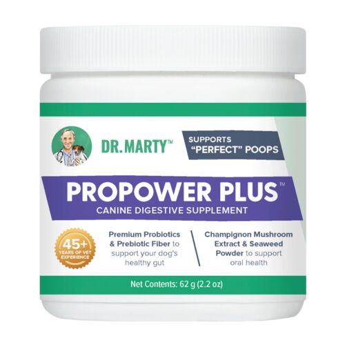 ProPower Plus Gut Health Supplement Powdered Formula - 2.2 oz