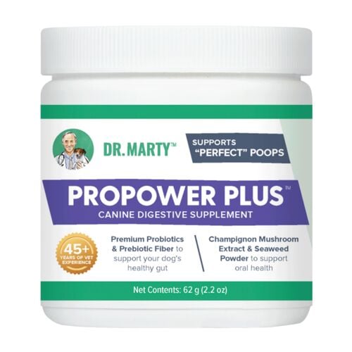 ProPower Plus Gut Health Supplement Powdered Formula - 2.2 oz