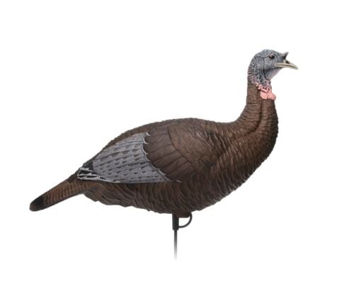 Thunder Chick Upright Hen Turkey Decoy