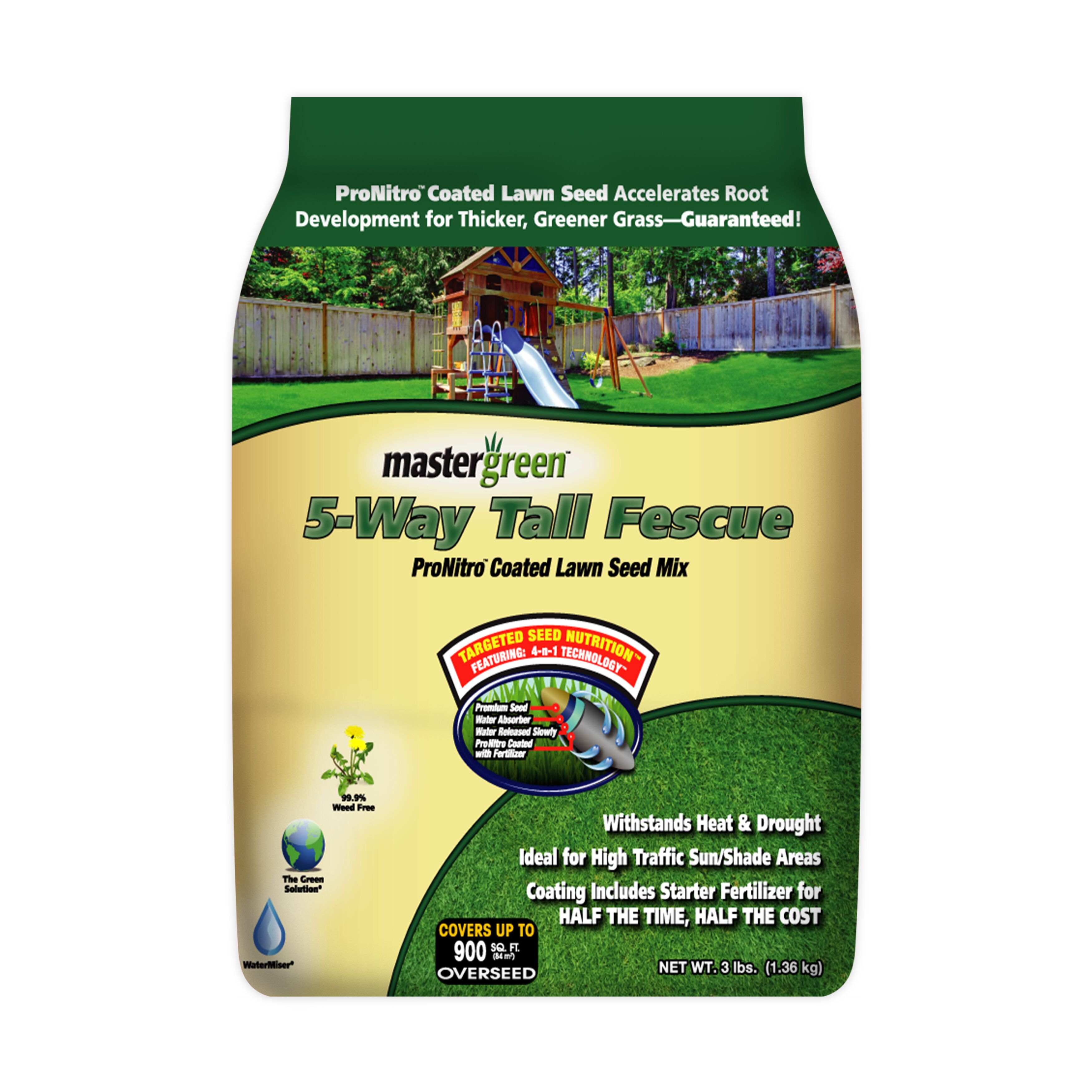 5-Way Tall Fescue Grass Seed