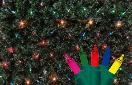 150-Count Holiday Net Light Set in Multi
