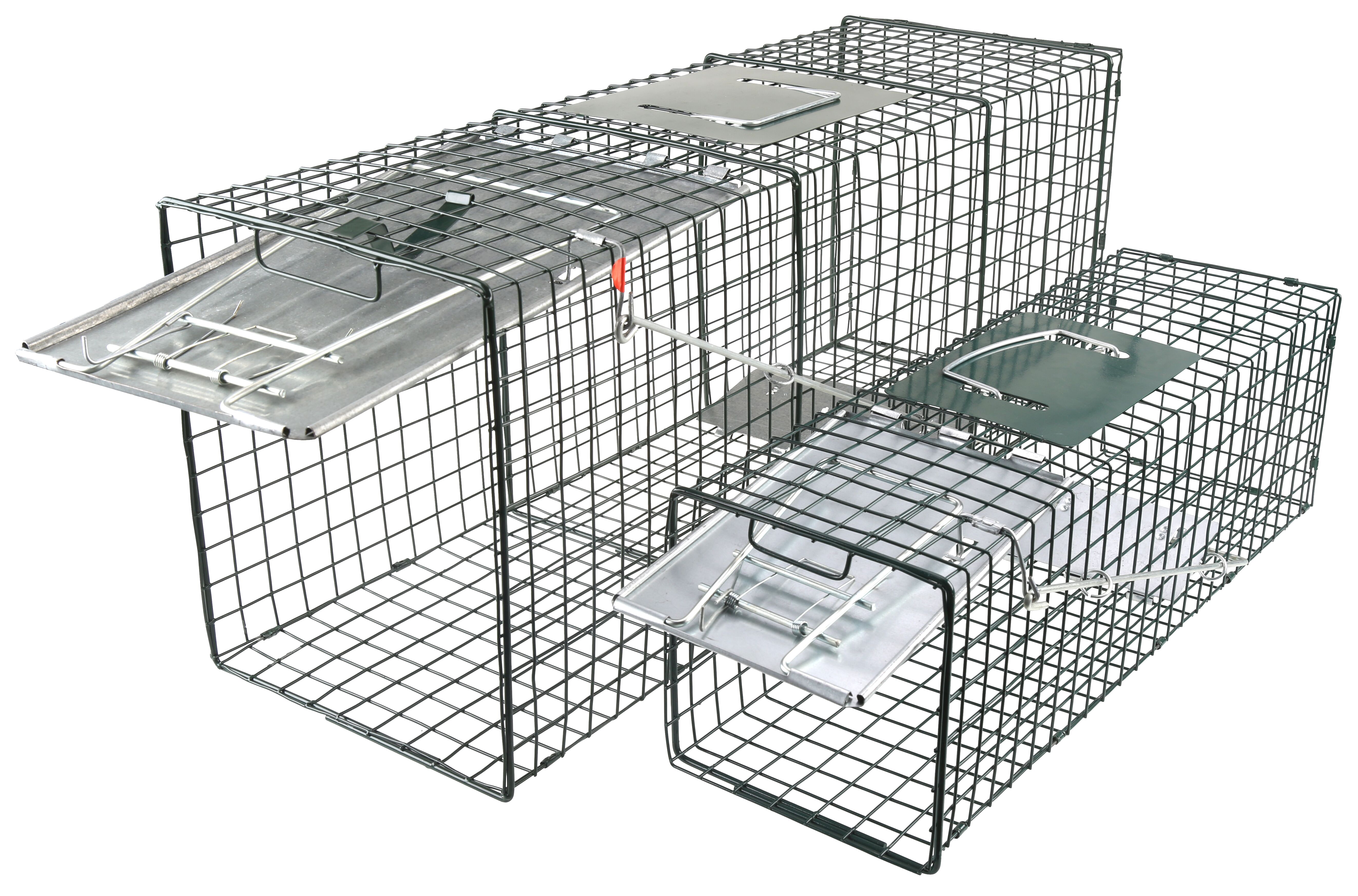 リリパットレーン　Tap House リリパットレーン Tap House - メルカリ