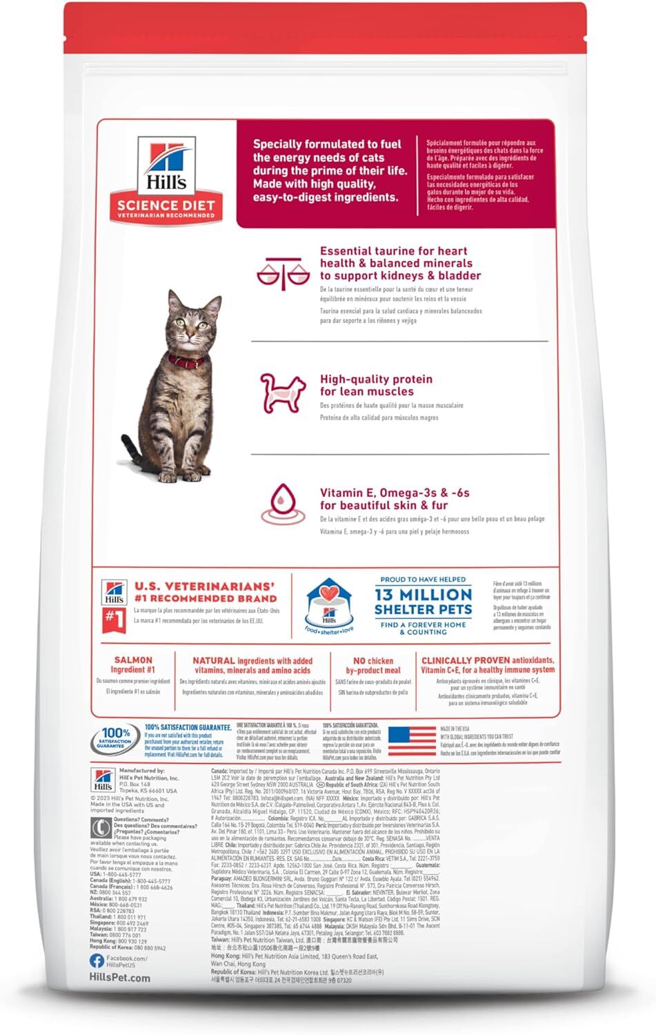 Adult Salmon & Brown Rice Recipe Dry Cat Food