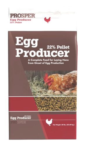 22% Pellet Egg Producer Feed - 50 Lb