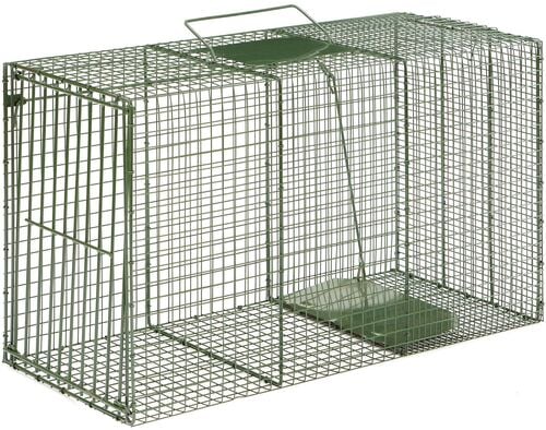 36" Easy Set Live Trap with 1 Door