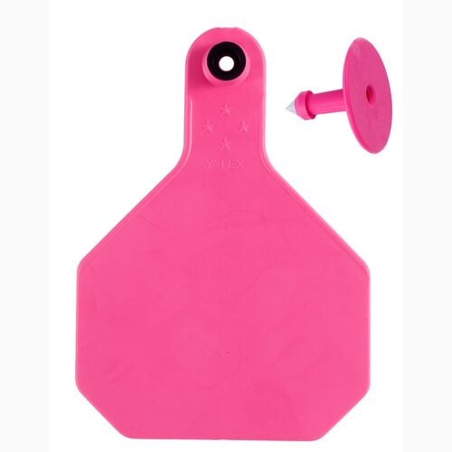 All-American 4* Large Blank 2-Piece Ear Tag in Pink - 25 Tags