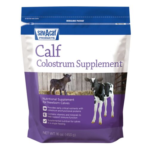 Calf Colostrum Supplement - 16 oz