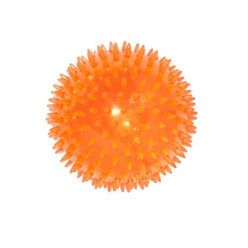 5" Spiky Bouncy Ball Dog Toy