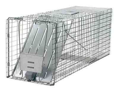 Raccoon Single Door Live Animal Trap